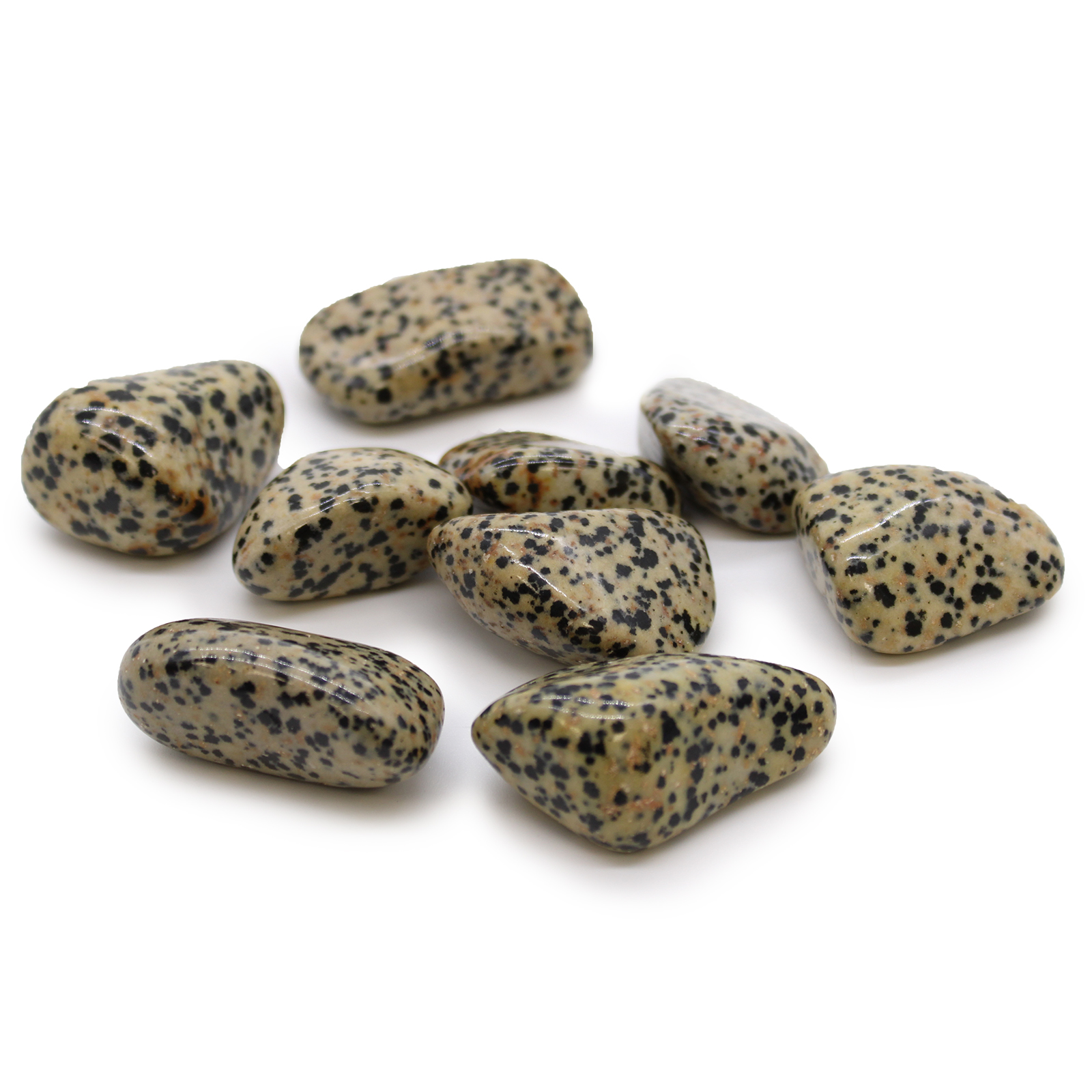 XL Tumble Stones - Dalmation Stone