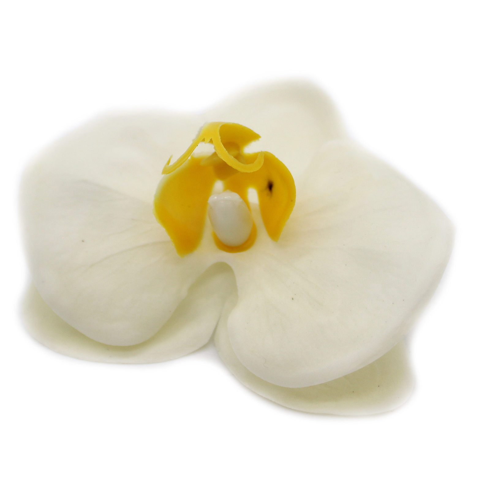Craft Soap Flower - Paeonia - Cream
