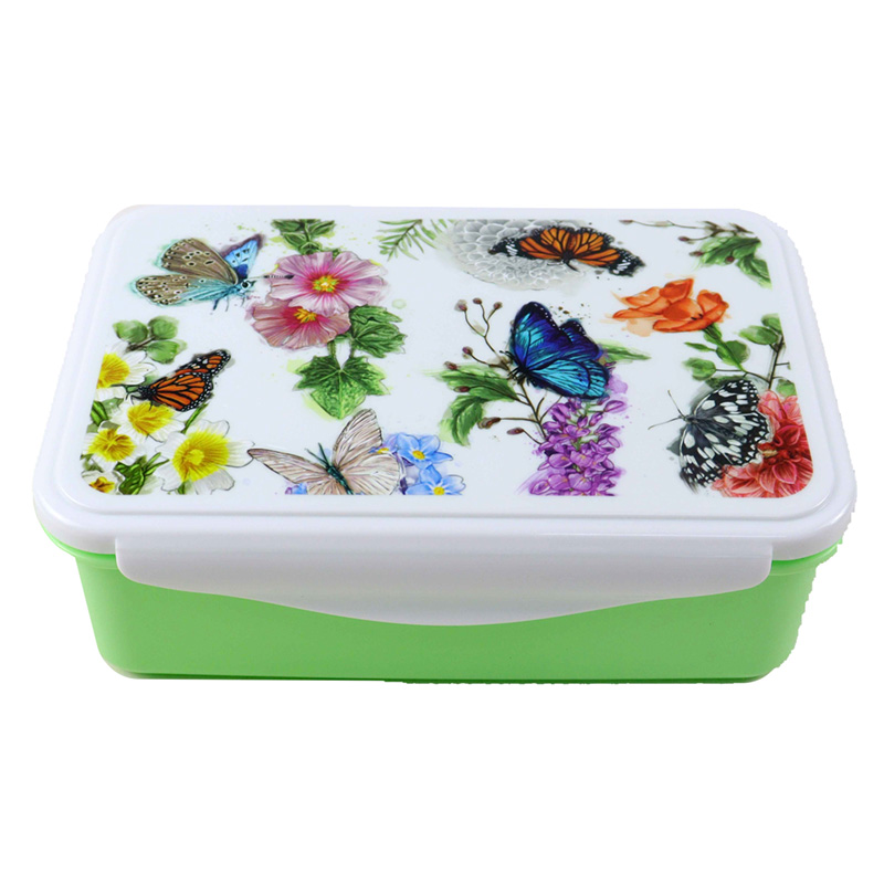 Clip Lock Lunch Box - Butterfly Meadows