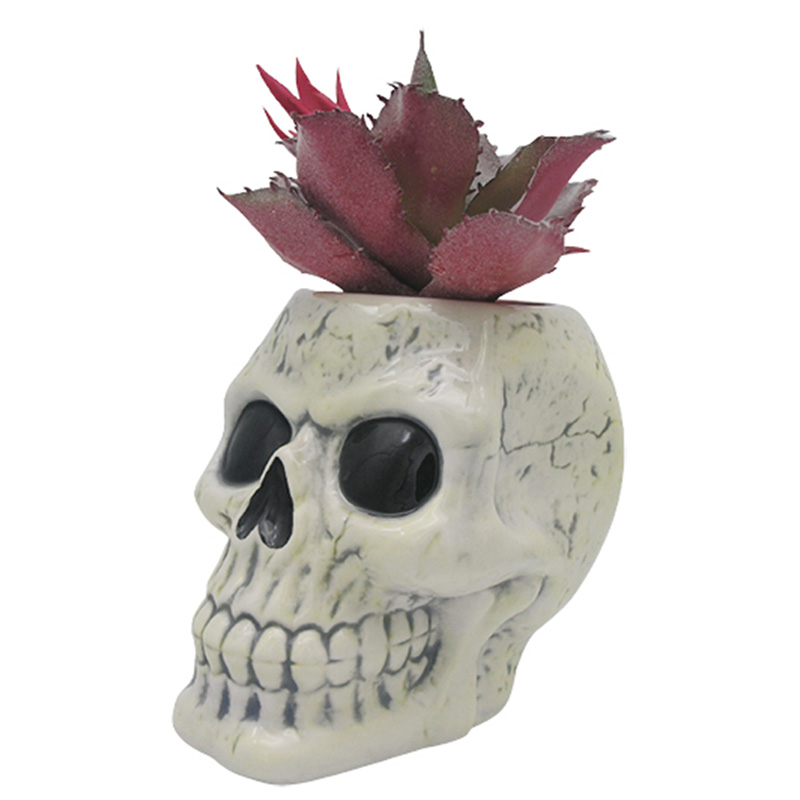 Shaped Ceramic Garden Planter/Plant Pot - Ancient Skull