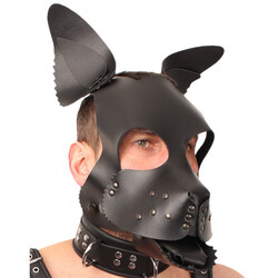 The Red Leather Puppy Dog Mask<br>