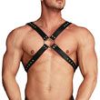 Ouch Adonis High Halter Harness<br>