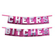 Bachelorette Party Favors Cheers Bitches Party Banner<br>