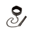Boundless Collar and Leash<br>